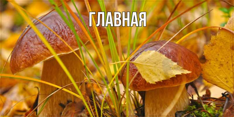 Картинка  с именем , Марьяна