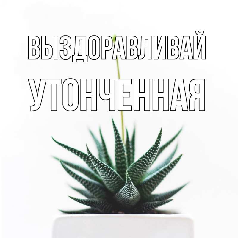 Картинка Выздоравливай, Утонченная