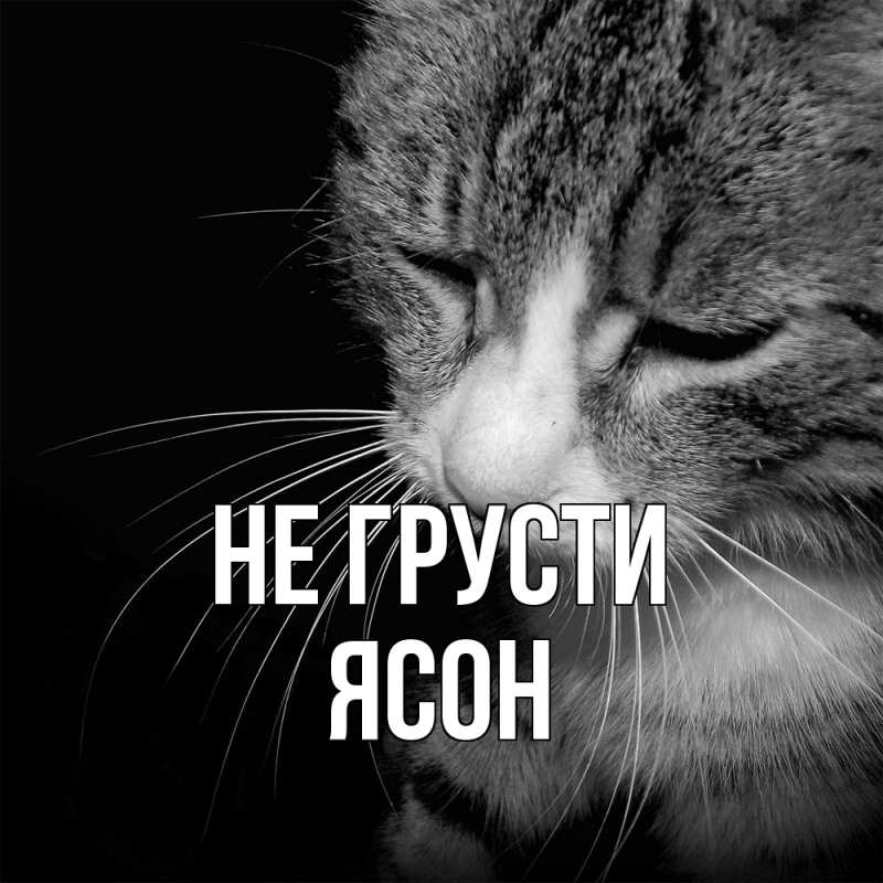 Картинка Не грусти, Ясон