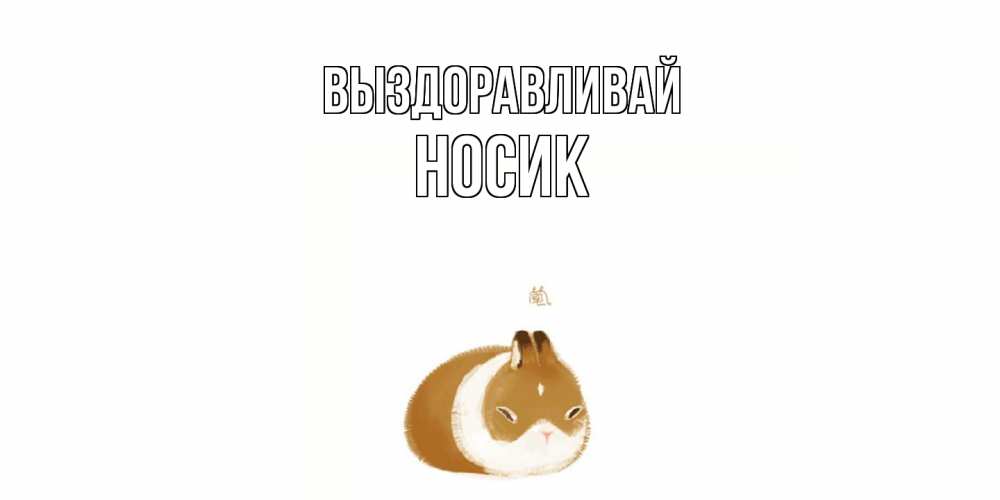 Открытка на каждый день с именем, Hосик Выздоравливай морская свинка на открытке с пожеланиями не болеть Прикольная открытка с пожеланием онлайн скачать бесплатно 