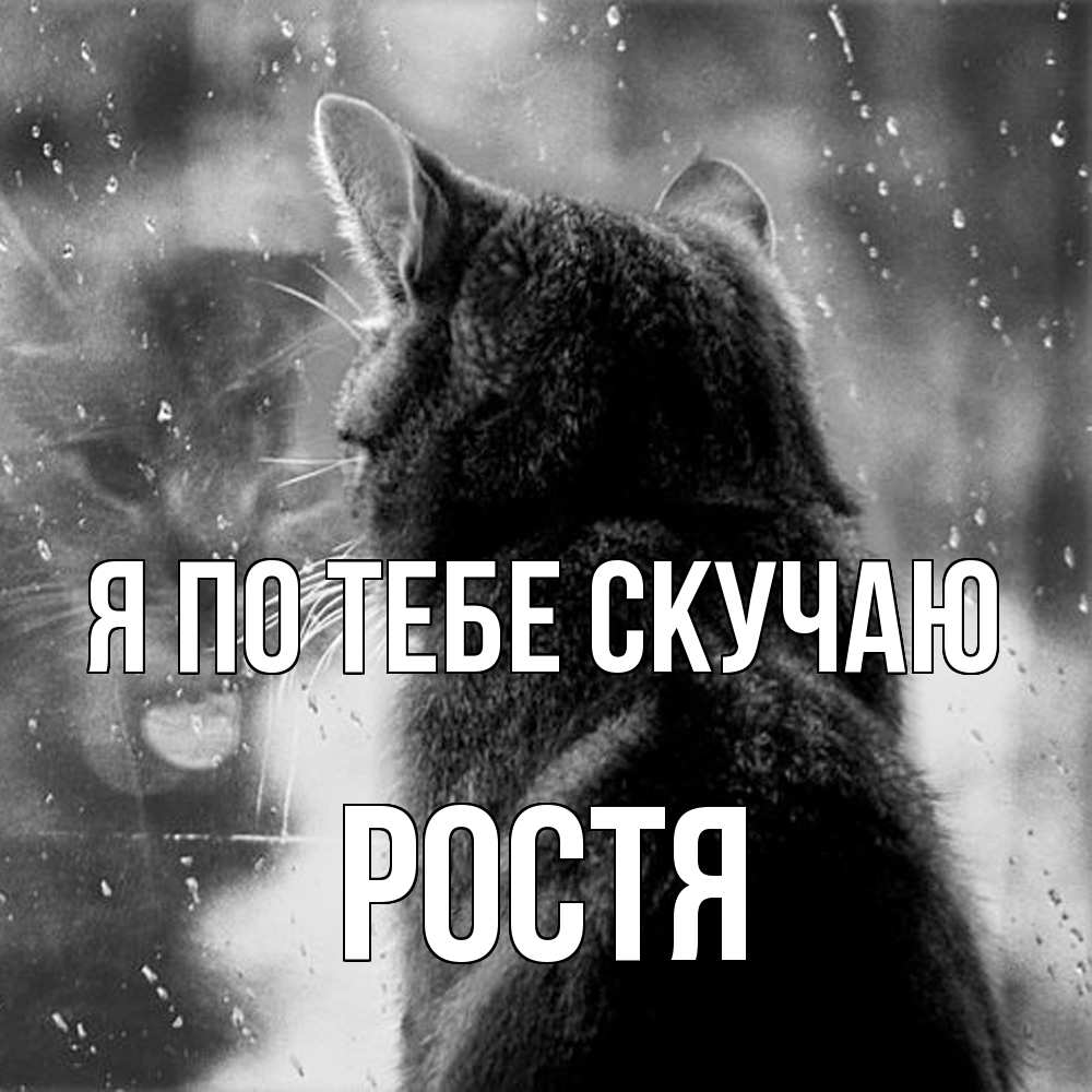 Открытка на каждый день с именем, Ростя Я по тебе скучаю скорее ко мне приходи 1 Прикольная открытка с пожеланием онлайн скачать бесплатно 