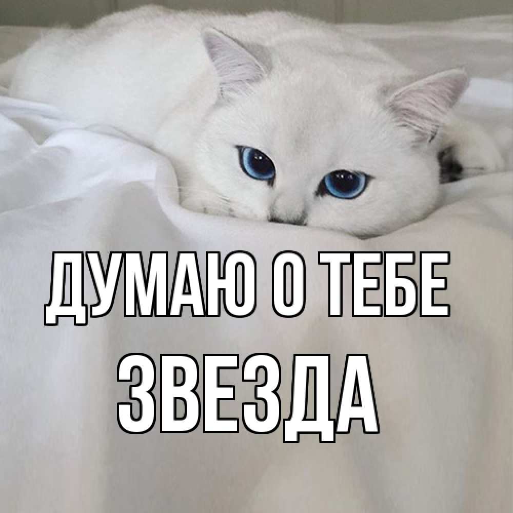 Открытка на каждый день с именем, Звезда Думаю о тебе я очень по тебе скучаю и тоскую Прикольная открытка с пожеланием онлайн скачать бесплатно 