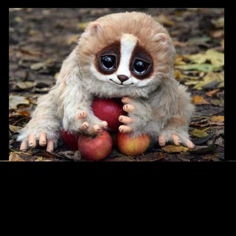 Картинка Спасибо, Петрова