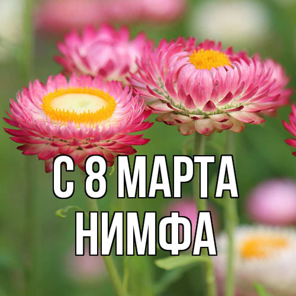 Открытка на каждый день с именем, Нимфа C 8 МАРТА подарок на международный женский день Прикольная открытка с пожеланием онлайн скачать бесплатно 