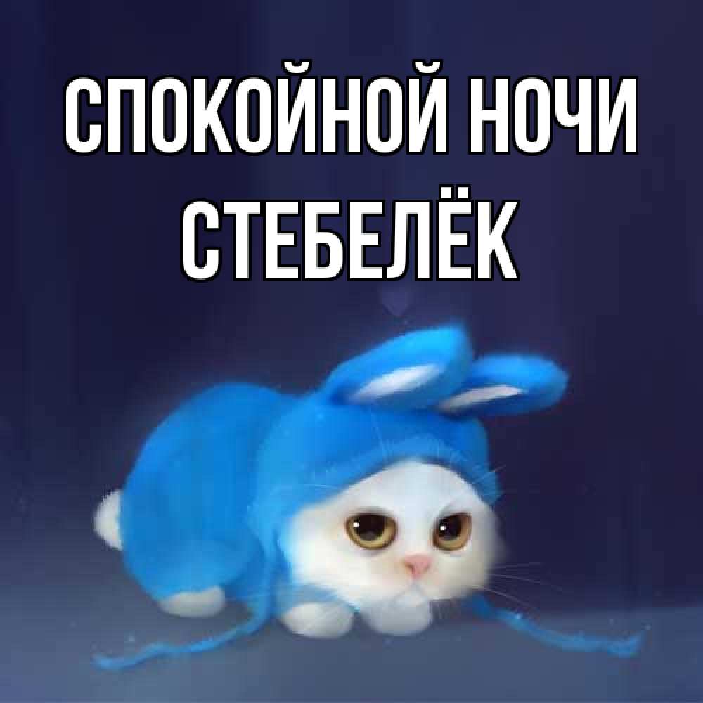 Открытка на каждый день с именем, Стебелёк Спокойной ночи кот в голубом костюме кролика с ушками Прикольная открытка с пожеланием онлайн скачать бесплатно 