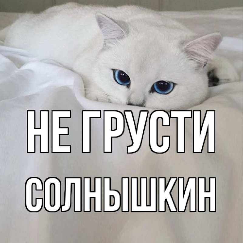 Картинка Не грусти, Солнышкин