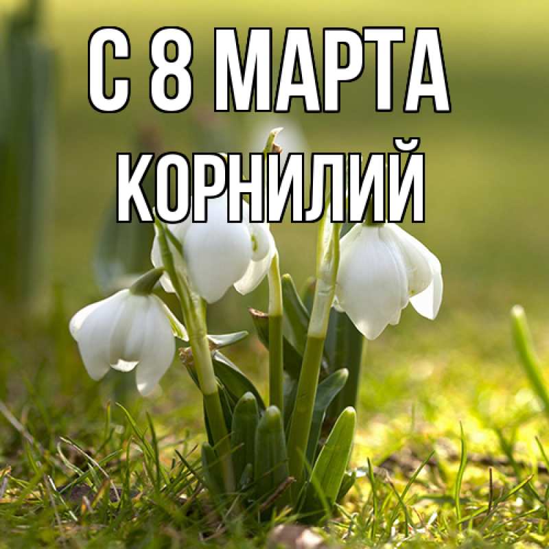 Картинка C 8 МАРТА, Корнилий