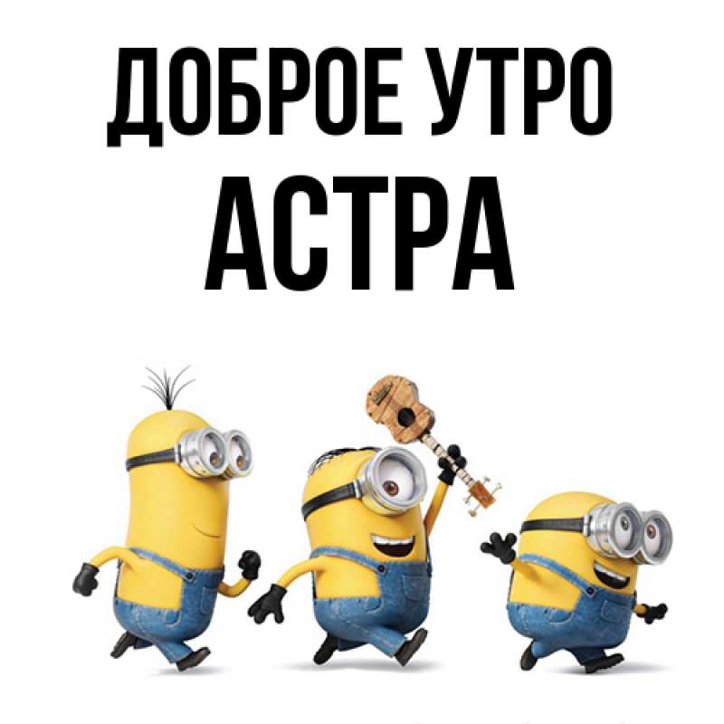 Картинка Доброе утро, Астра