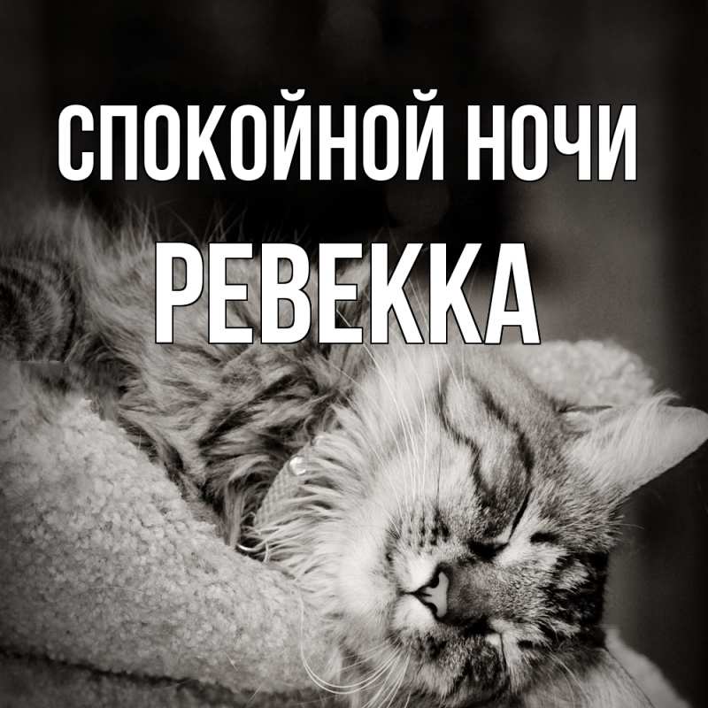 Картинка Спокойной ночи, Ревекка