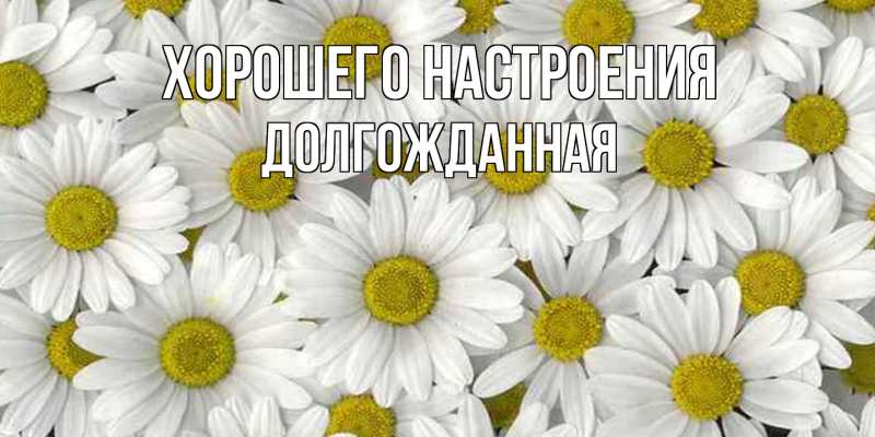 Картинка Хорошего настроения, Долгожданная