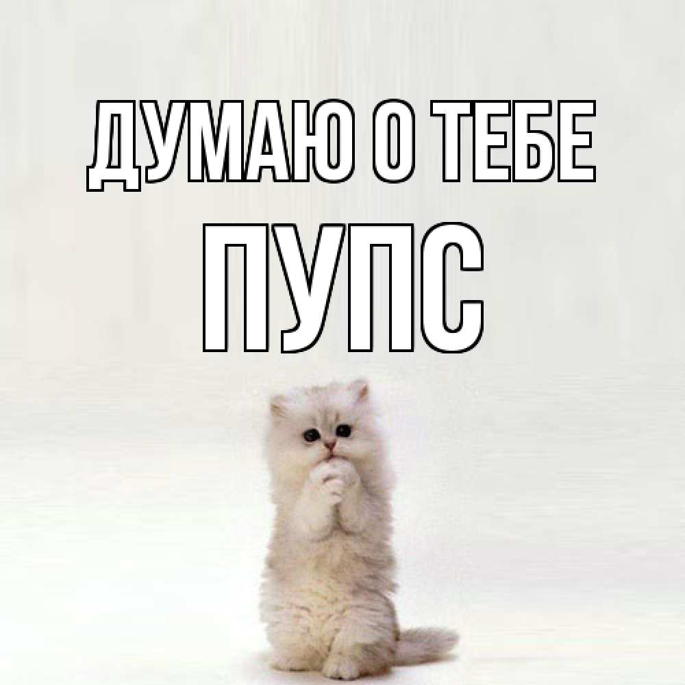 Открытка на каждый день с именем, Пупс Думаю о тебе кот стоит на задних лапах Прикольная открытка с пожеланием онлайн скачать бесплатно 