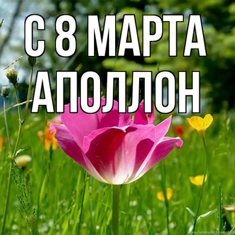Картинка C 8 МАРТА, Аполлон
