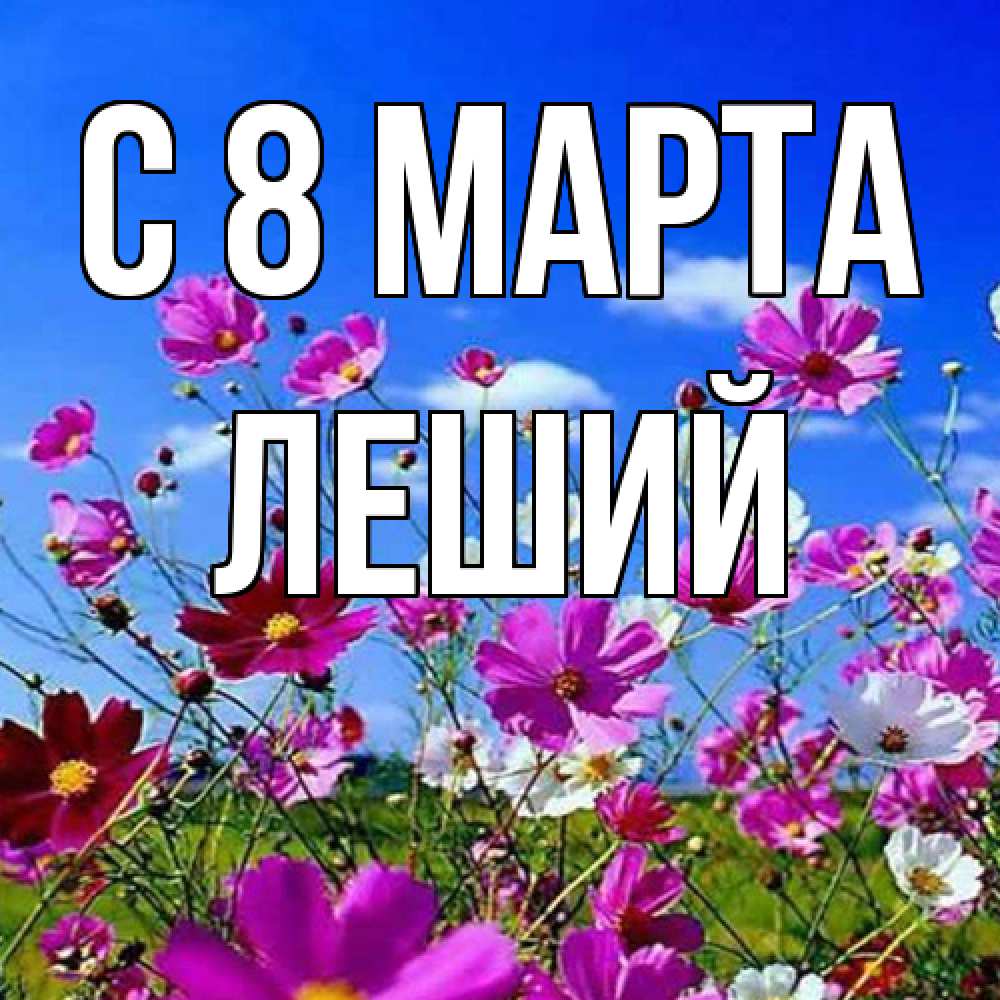 Открытка на каждый день с именем, Леший C 8 МАРТА цветы Прикольная открытка с пожеланием онлайн скачать бесплатно 