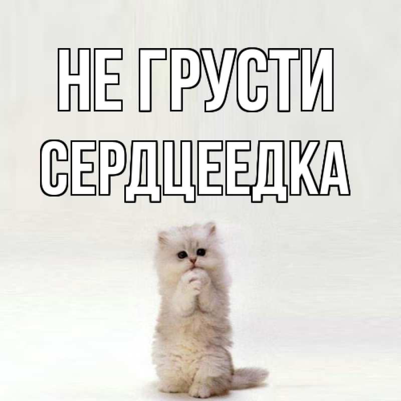 Картинка Не грусти, сердцеедка