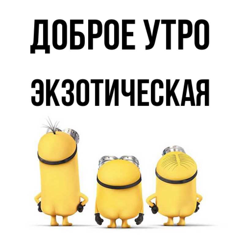Картинка Доброе утро, Экзотическая