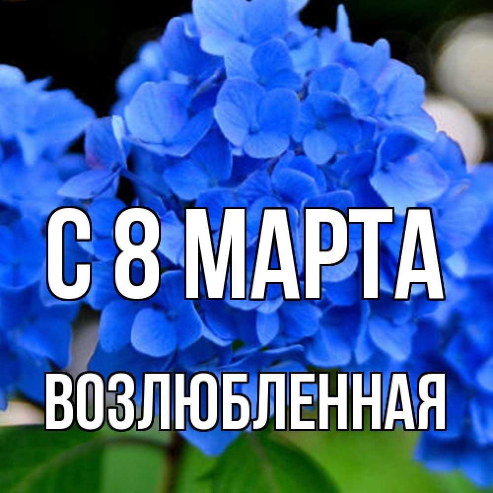 Открытка на каждый день с именем, Возлюбленная C 8 МАРТА синие цветы Прикольная открытка с пожеланием онлайн скачать бесплатно 