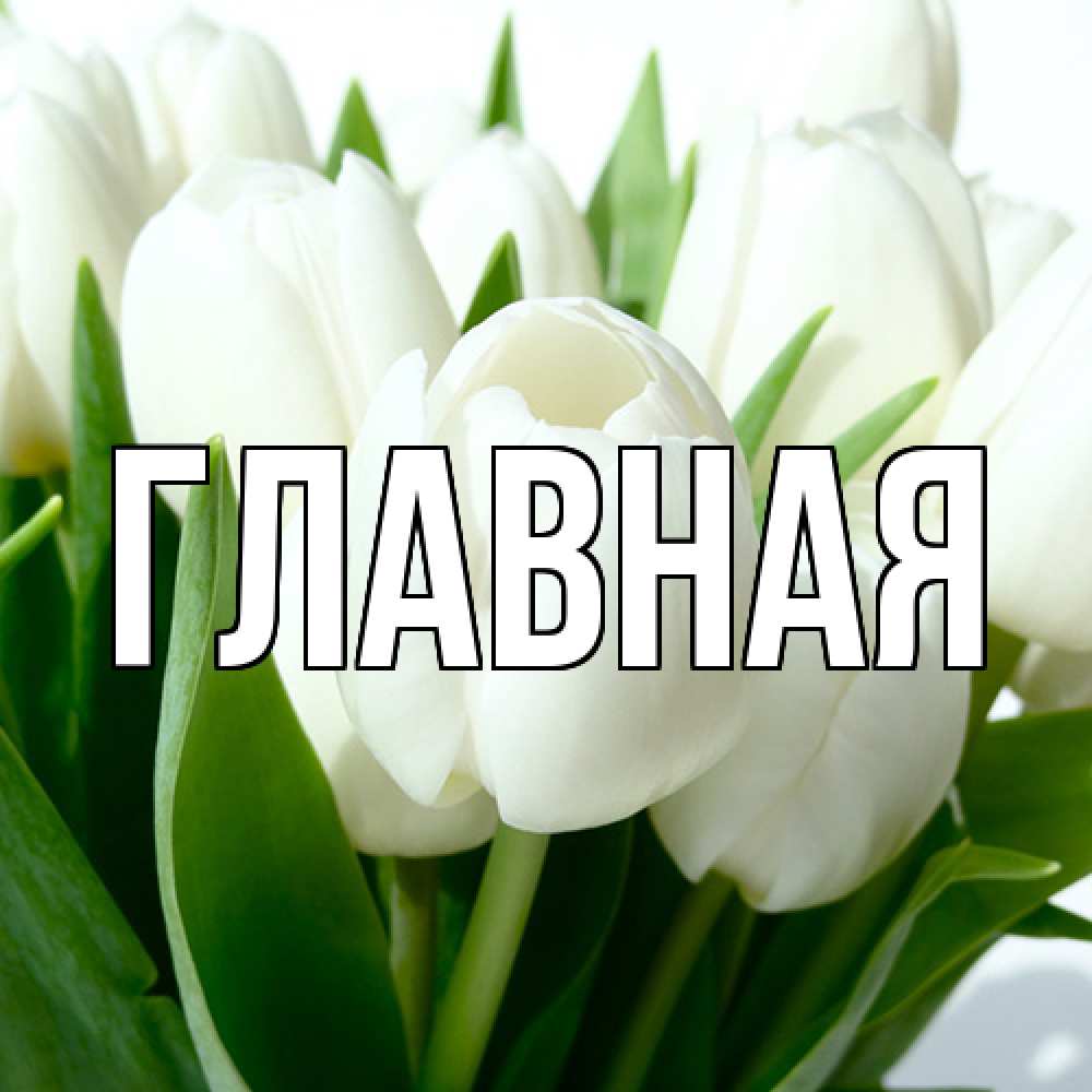 Открытка на каждый день с именем, Марьяна Главная цветы Прикольная открытка с пожеланием онлайн скачать бесплатно 