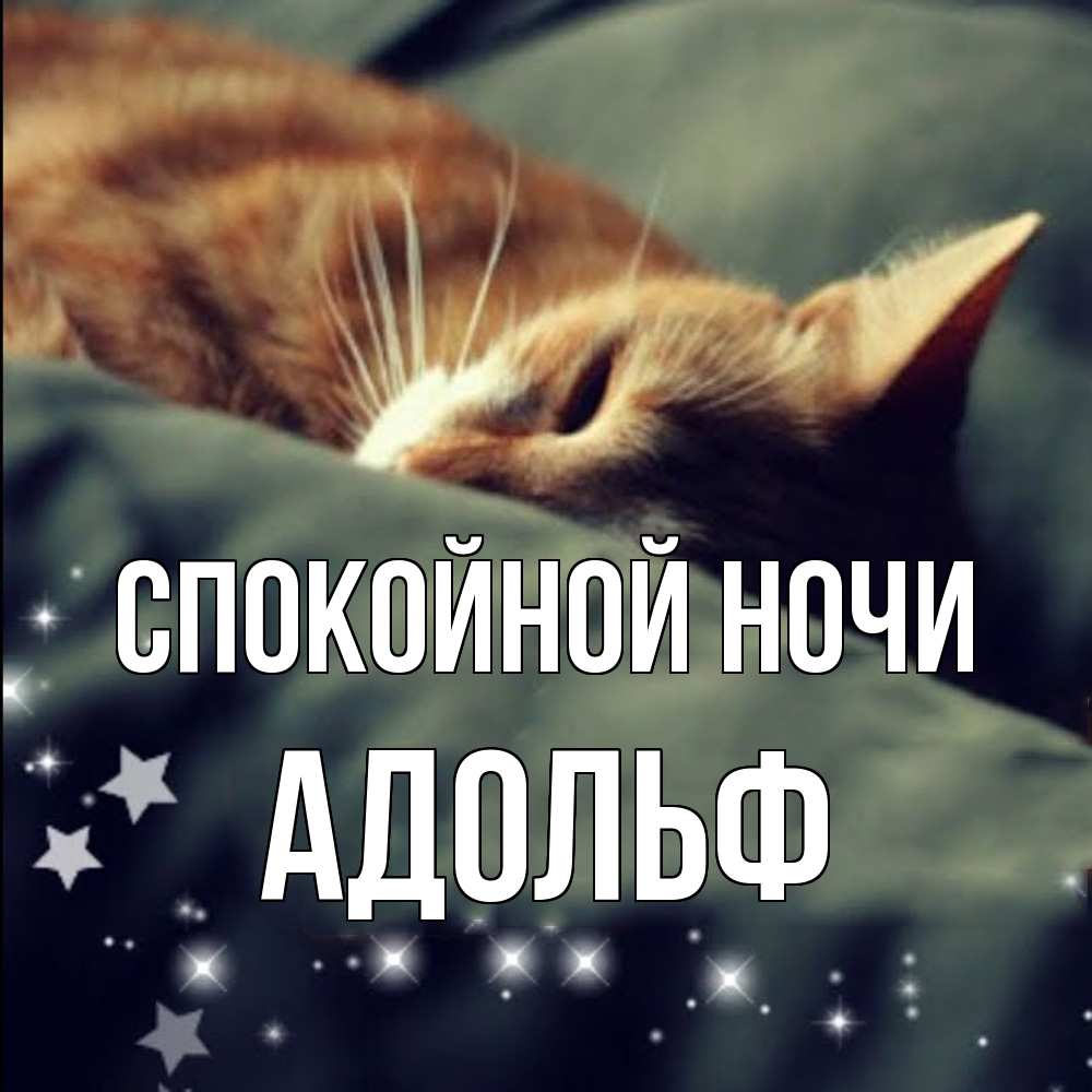 Открытка на каждый день с именем, Адольф Спокойной ночи кроватка Прикольная открытка с пожеланием онлайн скачать бесплатно 
