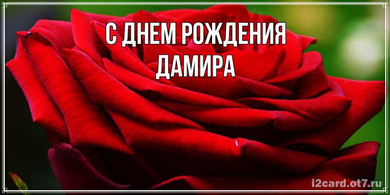 Картинка С днем рождения, Дамира
