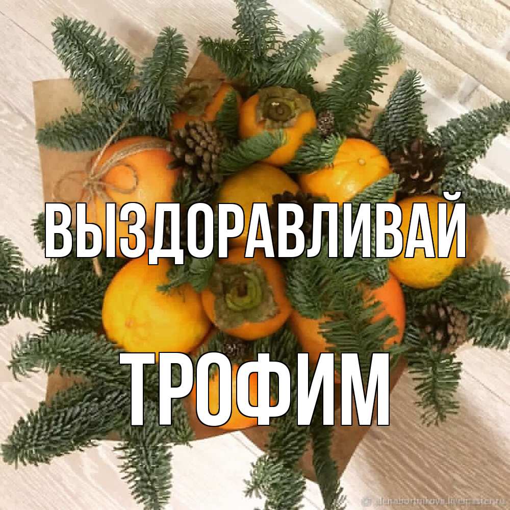 Открытка на каждый день с именем, Трофим Выздоравливай апельсины и хурьма Прикольная открытка с пожеланием онлайн скачать бесплатно 