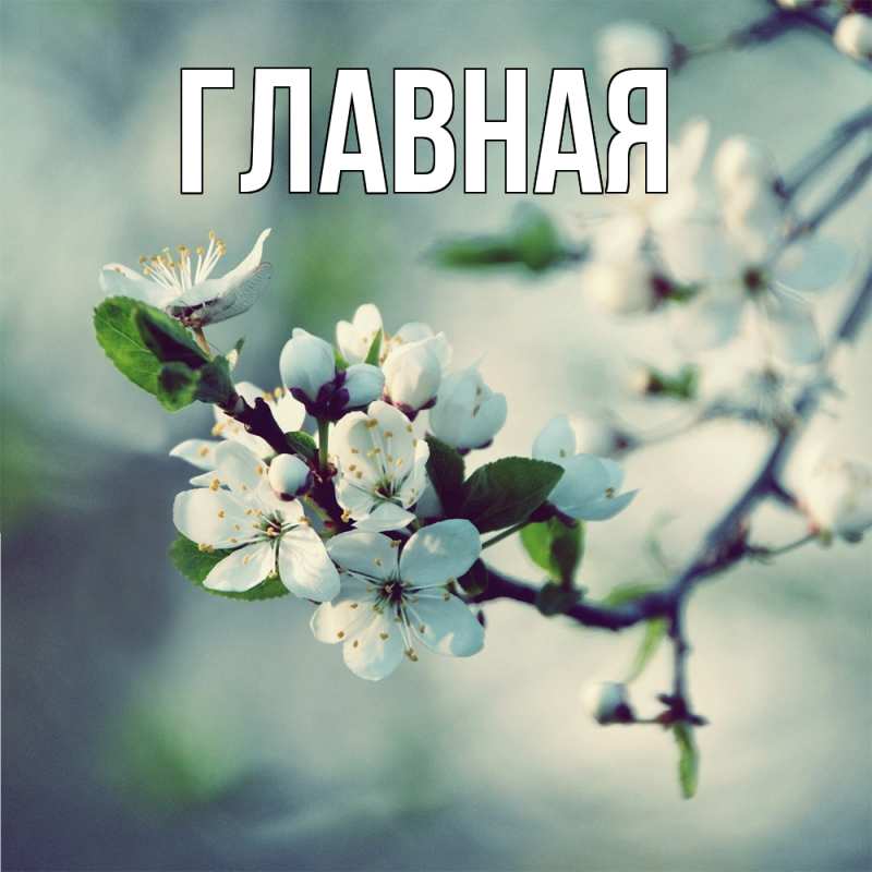 Картинка  с именем , Марьяна