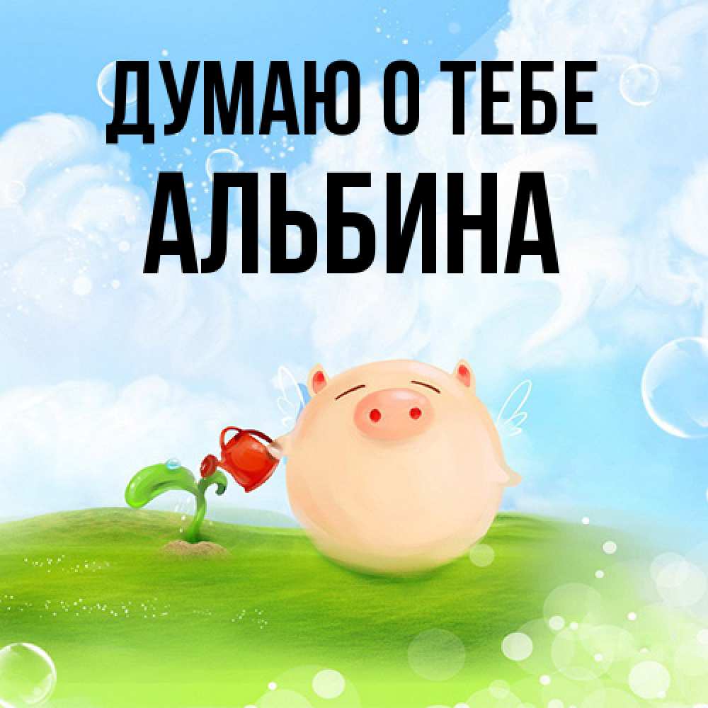 Открытка на каждый день с именем, Альбина Думаю о тебе позитивная свинюшка Прикольная открытка с пожеланием онлайн скачать бесплатно 