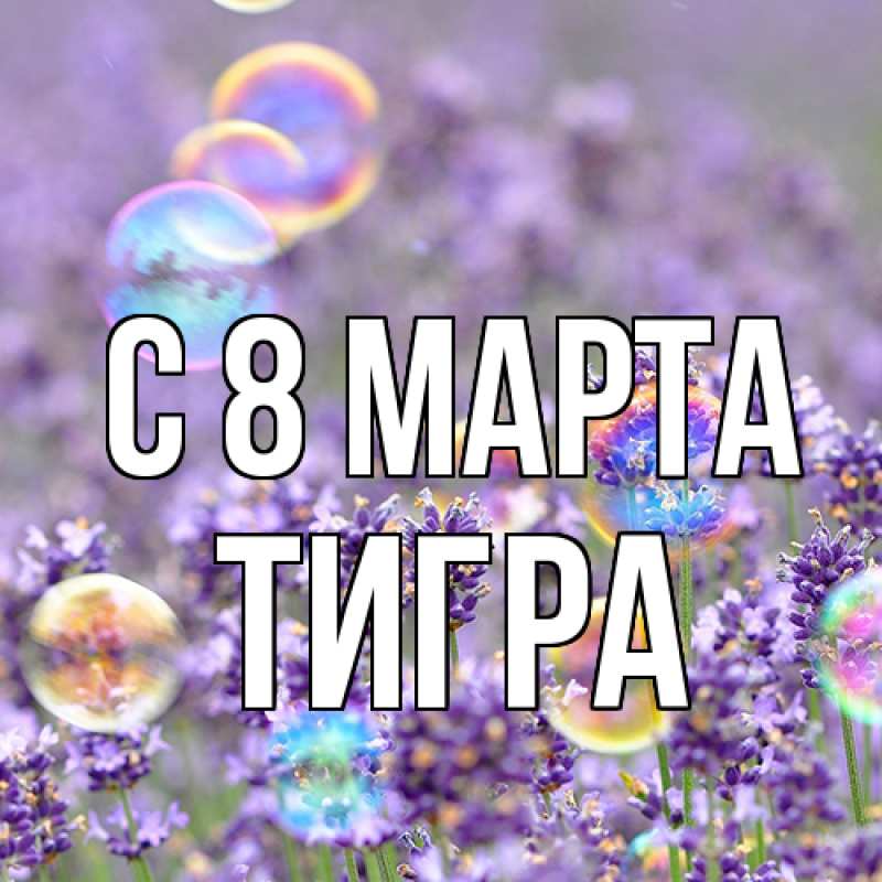 Картинка C 8 МАРТА, Тигpа