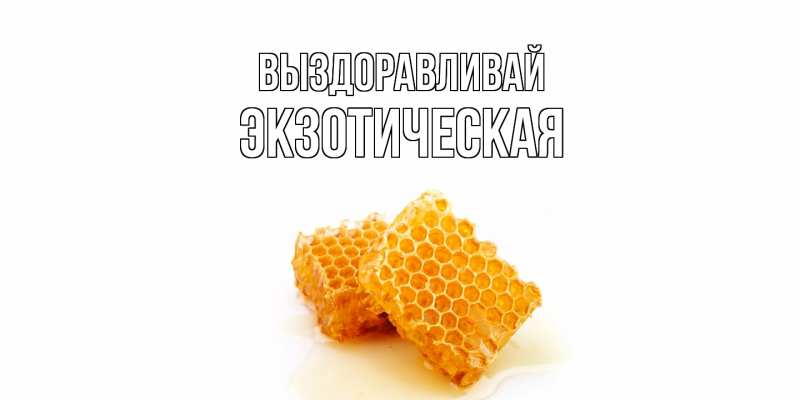 Картинка Выздоравливай, Экзотическая