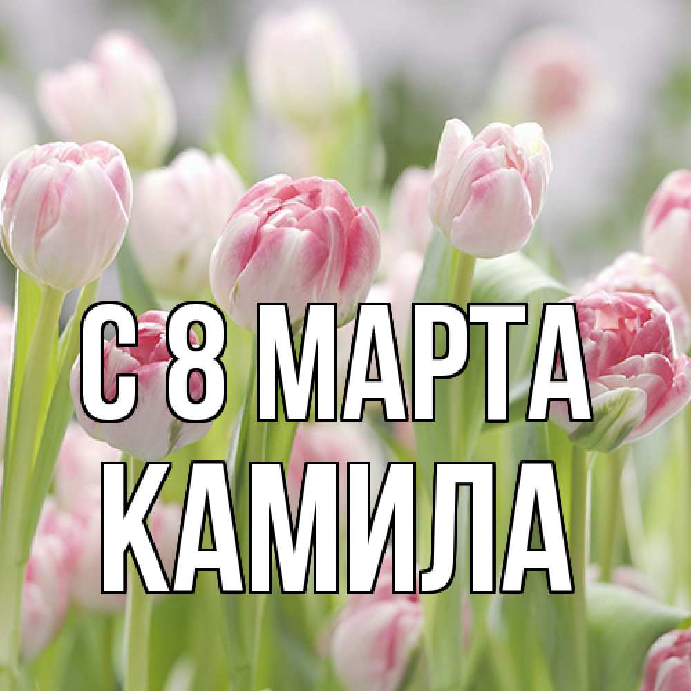 Открытка на каждый день с именем, Камила C 8 МАРТА цветы Прикольная открытка с пожеланием онлайн скачать бесплатно 