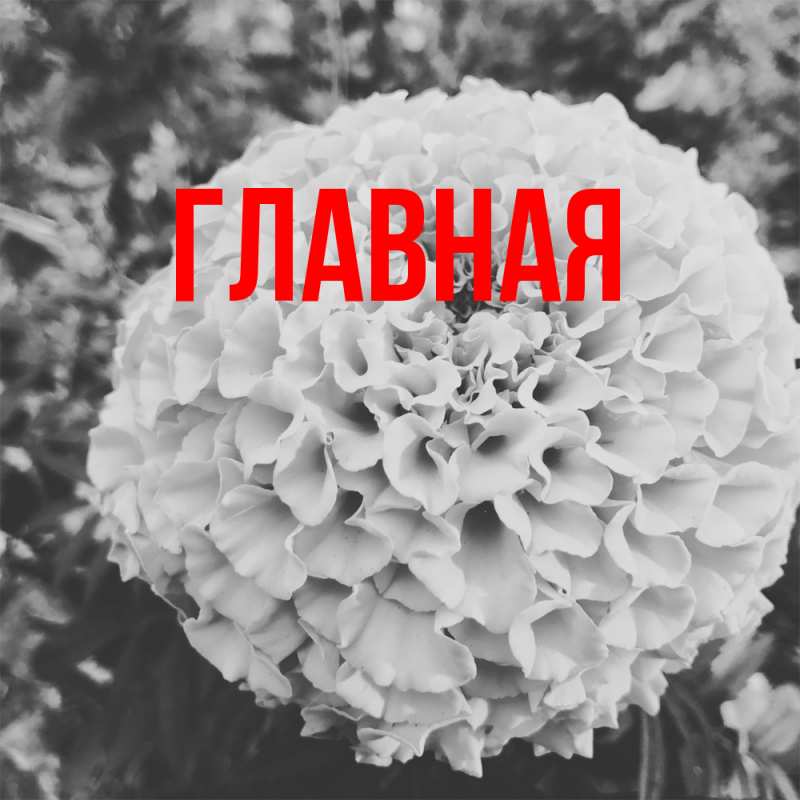 Картинка  с именем , Марьяна