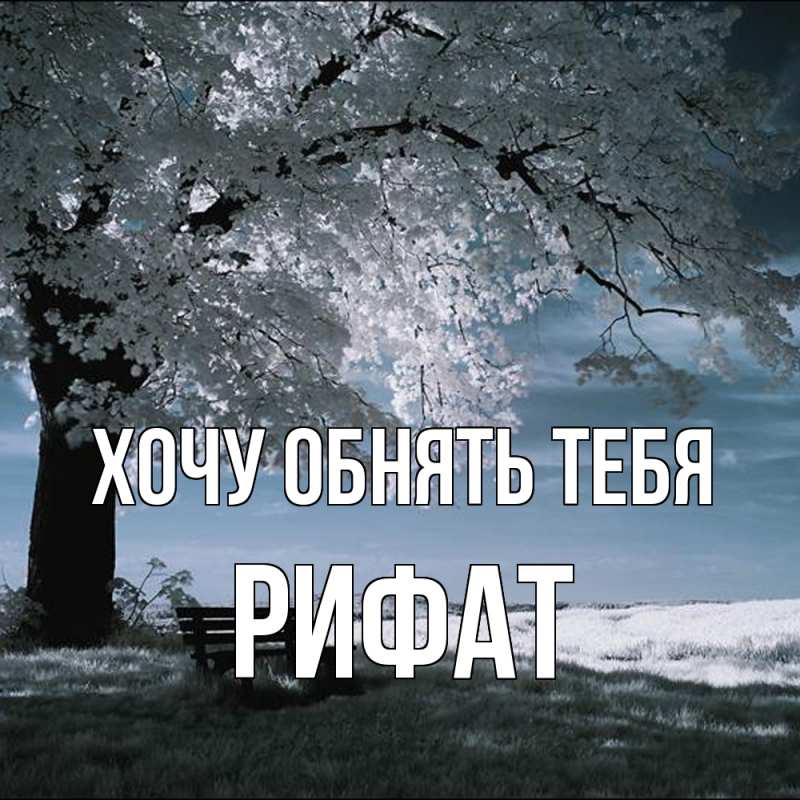 Картинка Хочу обнять тебя, Рифат