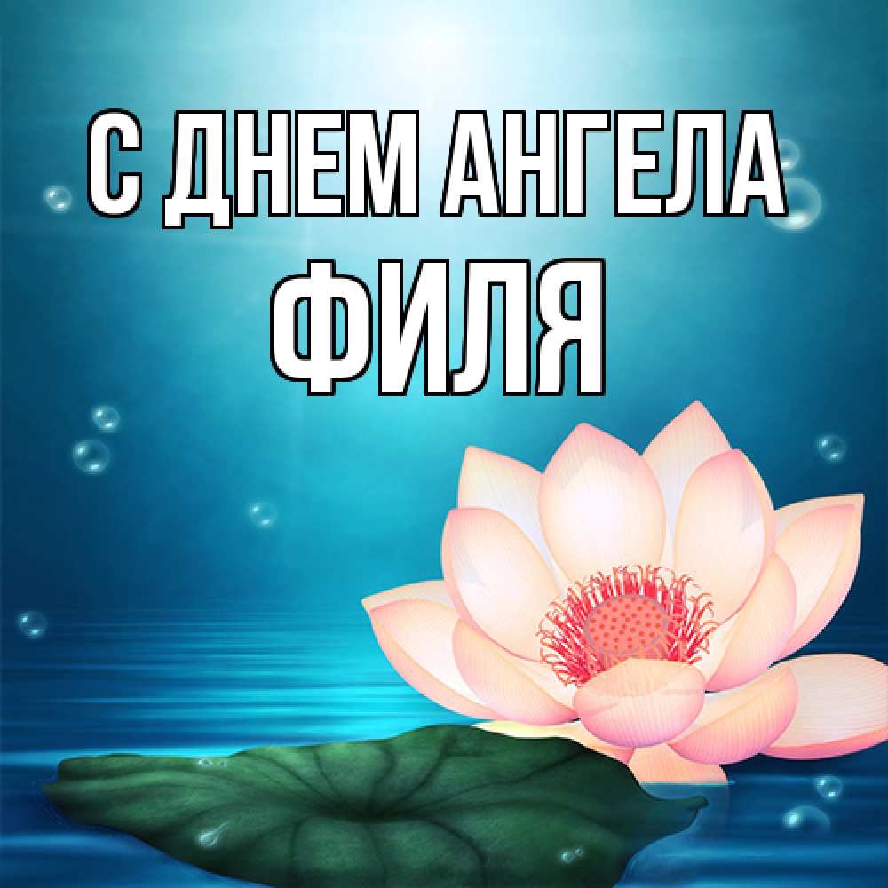 Открытка на каждый день с именем, Филя С днем ангела кувшинка Прикольная открытка с пожеланием онлайн скачать бесплатно 