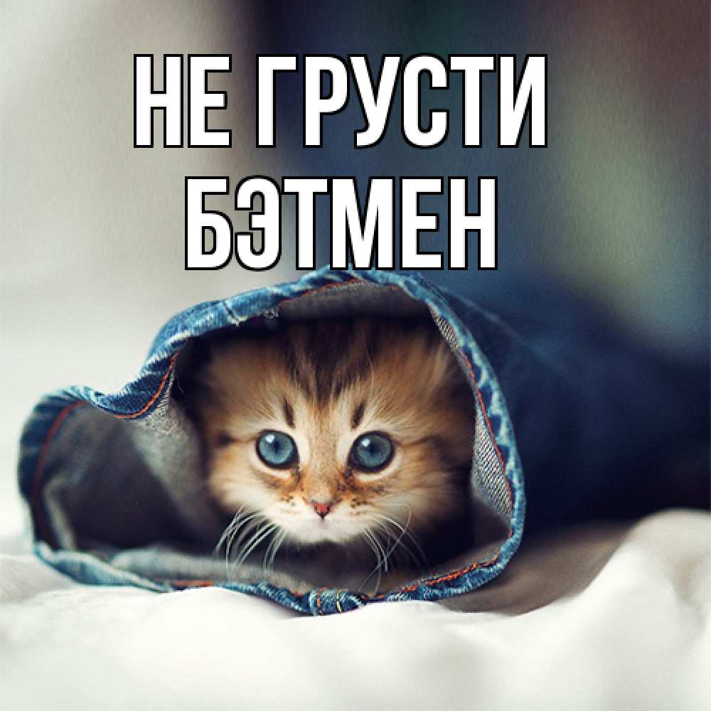 Открытка на каждый день с именем, Бэтмен Не грусти рыжик котик Прикольная открытка с пожеланием онлайн скачать бесплатно 