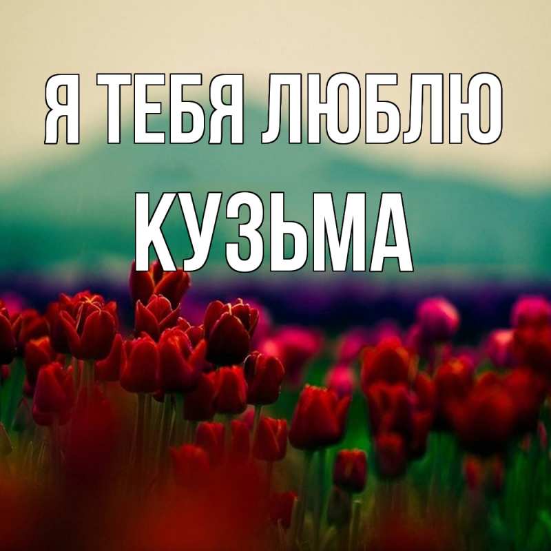 Картинка Я тебя люблю, Кузьма