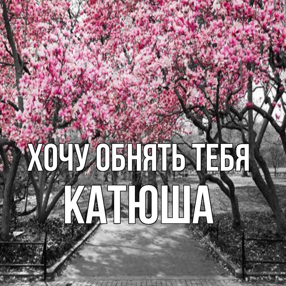 Открытка на каждый день с именем, Катюша Хочу обнять тебя обработанное фото Прикольная открытка с пожеланием онлайн скачать бесплатно 