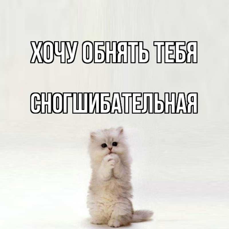 Картинка Хочу обнять тебя, Сногшибательная