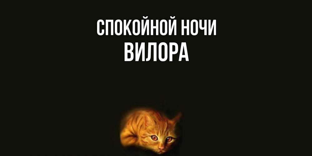 Открытка на каждый день с именем, Вилора Спокойной ночи кот Прикольная открытка с пожеланием онлайн скачать бесплатно 