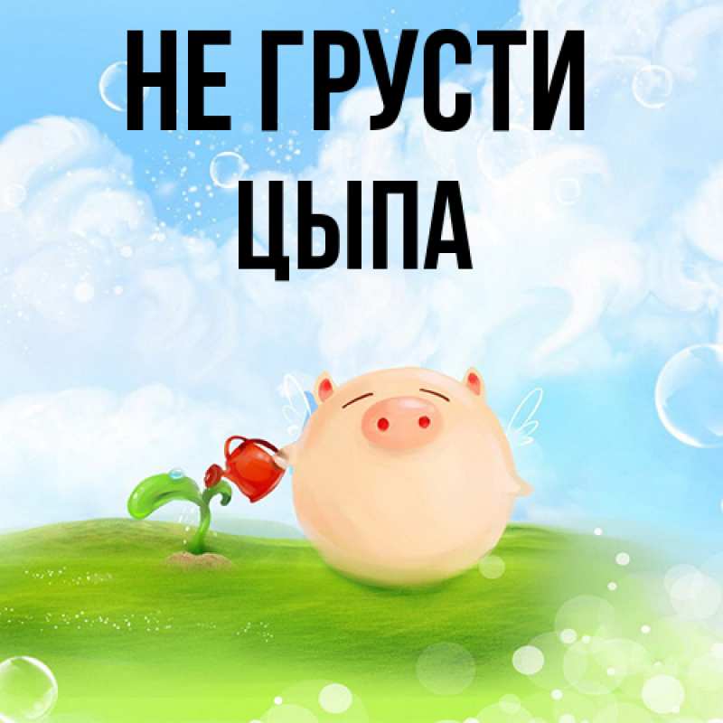 Картинка Не грусти, Цыпа