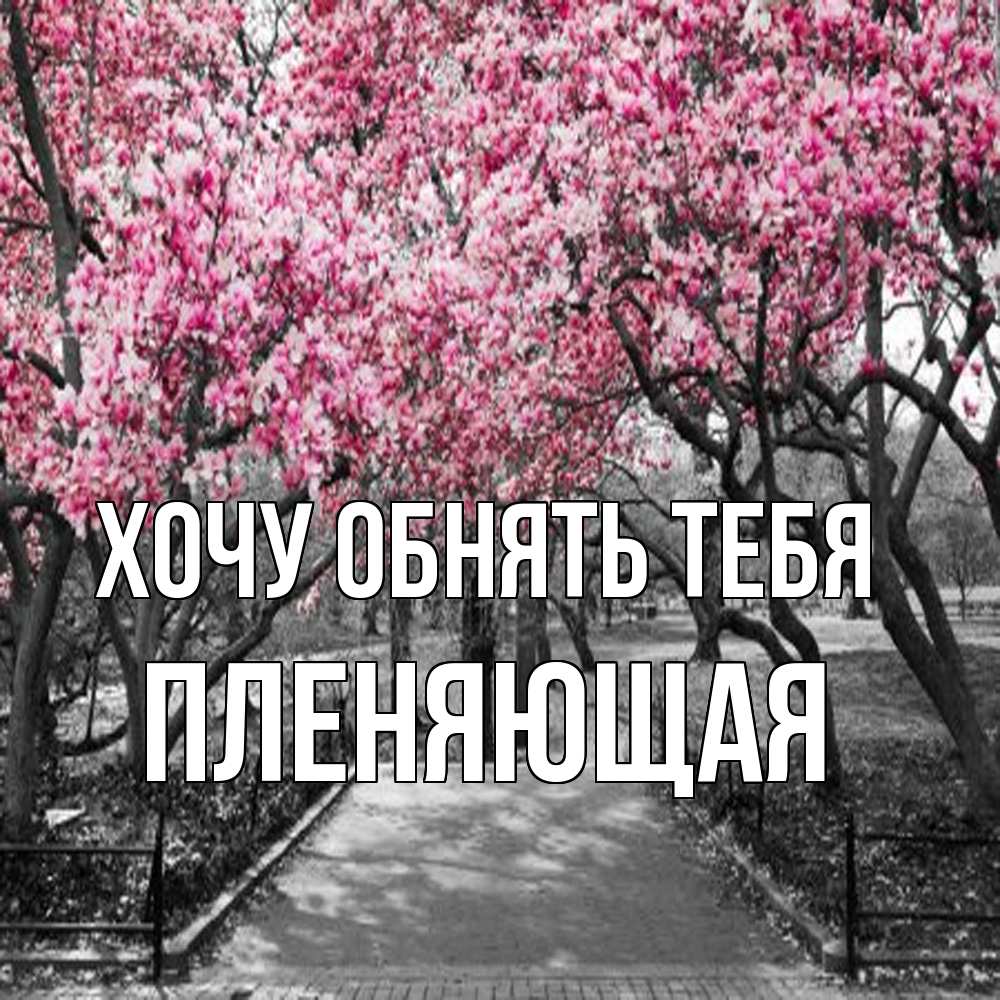 Открытка на каждый день с именем, Пленяющая Хочу обнять тебя обработанное фото Прикольная открытка с пожеланием онлайн скачать бесплатно 