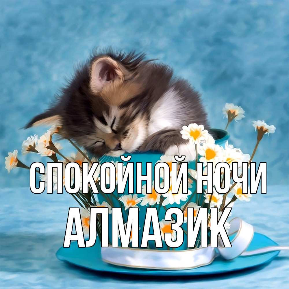 Открытка на каждый день с именем, Алмазик Спокойной ночи котенок спит в кружке с блюдцем Прикольная открытка с пожеланием онлайн скачать бесплатно 