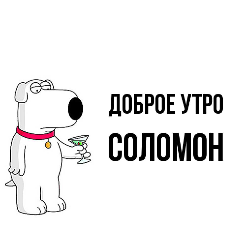 Открытка на каждый день с именем, Соломон Доброе утро герои мультфильмов белый пес Прикольная открытка с пожеланием онлайн скачать бесплатно 