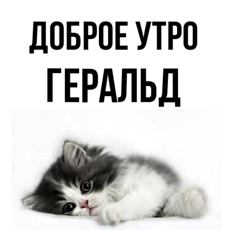 Картинка Доброе утро, Геральд