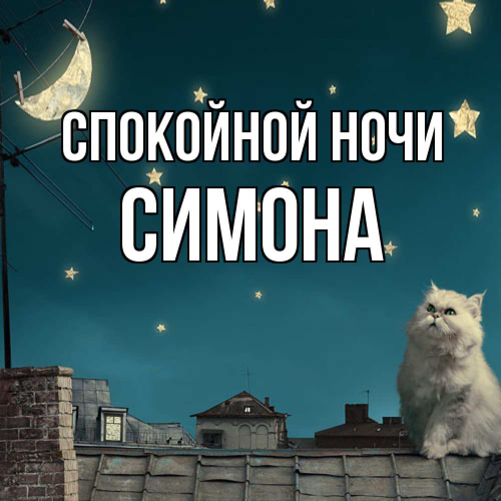 Открытка на каждый день с именем, Симона Спокойной ночи белый кот сидит на крыше Прикольная открытка с пожеланием онлайн скачать бесплатно 