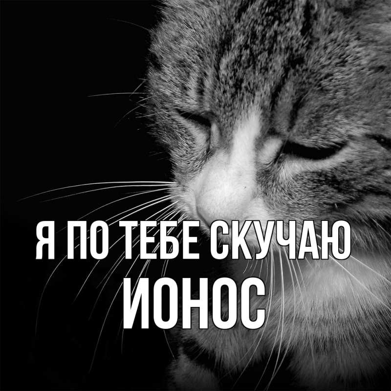 Картинка Я по тебе скучаю, Ионос