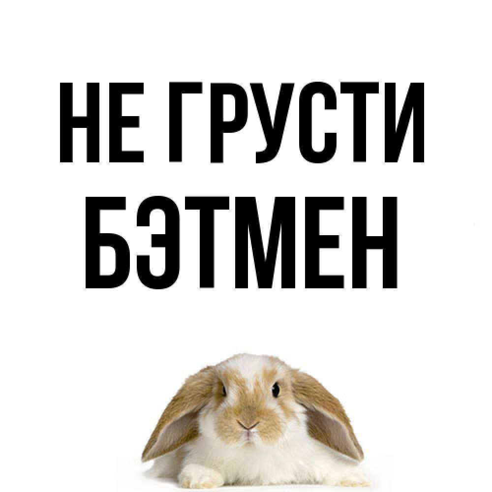 Открытка на каждый день с именем, Бэтмен Не грусти коричнево белый заяц с большими ушками Прикольная открытка с пожеланием онлайн скачать бесплатно 
