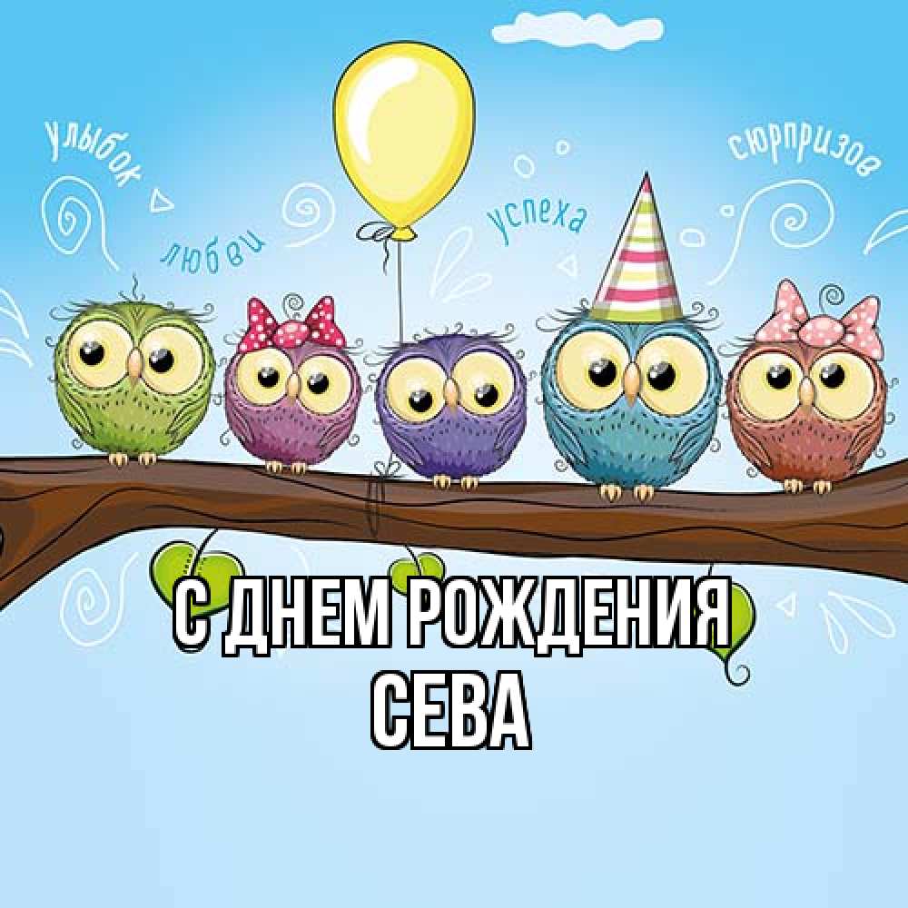 Открытка на каждый день с именем, Сева С днем рождения совы Прикольная открытка с пожеланием онлайн скачать бесплатно 