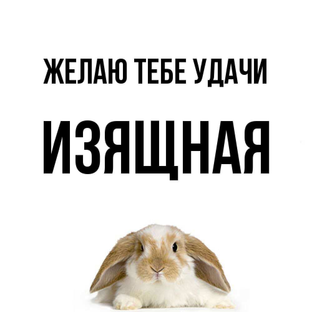 Открытка на каждый день с именем, Изящная Желаю тебе удачи открытки с произвольным текстом который можно вставить в открытку и создать ее самостоятельно бесплатно онлайн Прикольная открытка с пожеланием онлайн скачать бесплатно 