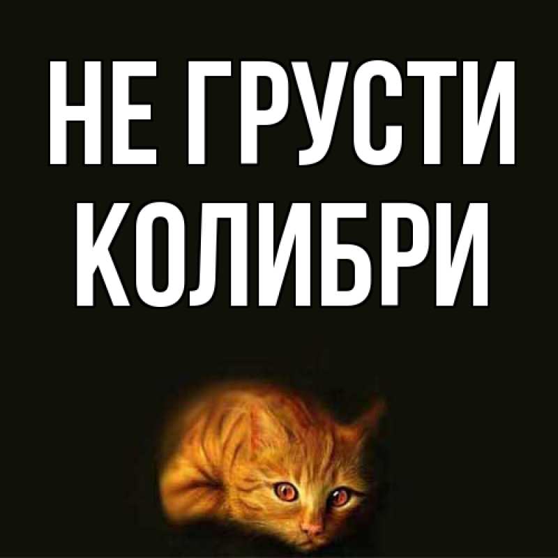 Картинка Не грусти, Колибри