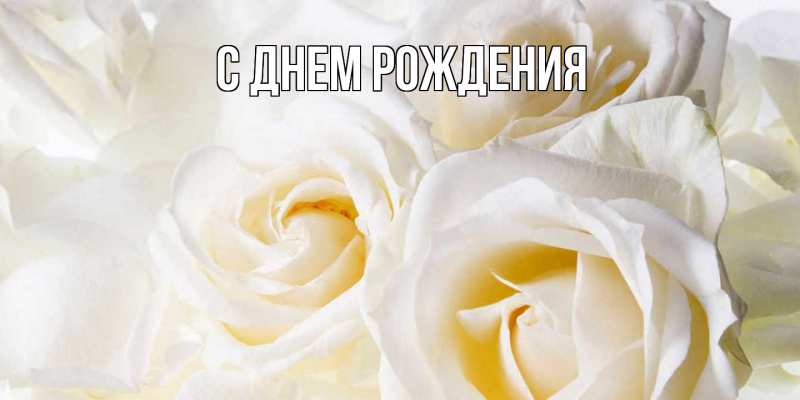 Картинка С днем рождения, 