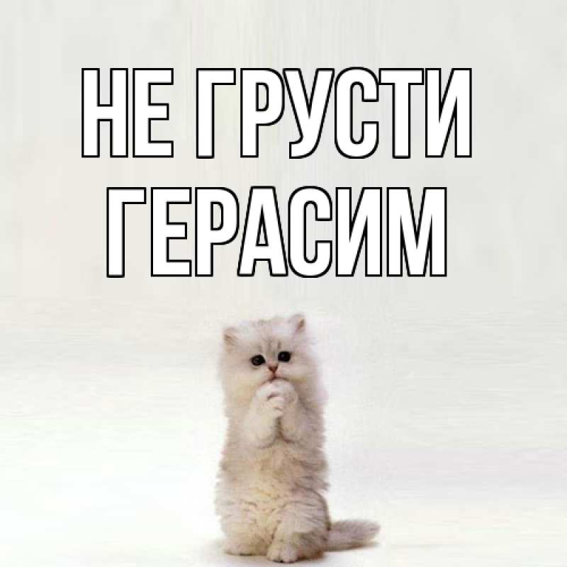 Картинка Не грусти, Герасим